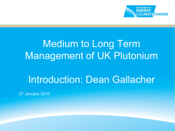 Medium to Long Term Management of UK Plutonium