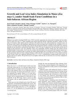 Growth and Leaf Area Index Simulation in Maize (Zea mays L