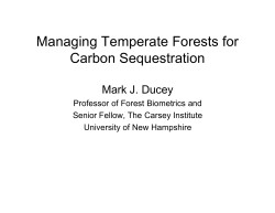 Managing Temperate Forests for Carbon Sequestration