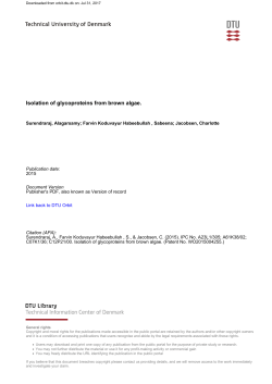 Isolation of glycoproteins from brown algae.