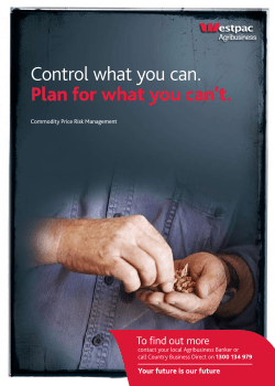 Commodity Price Risk Management