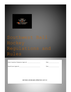 Southwest Ball Hockey Regulations and Rules
