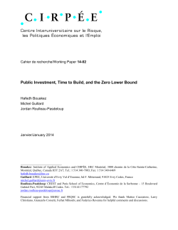 Public Investment, Time to Build, and the Zero Lower Bound