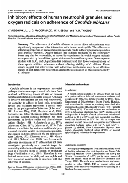 Inhibitory effects of human neutrophil granules and oxygen radicals