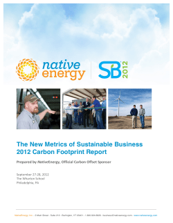 The New Metrics of Sustainable Business 2012 Carbon Footprint