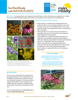 get rainready with natiVe PlantS