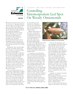 Entomosporium Leaf Spot - Alabama Cooperative Extension System