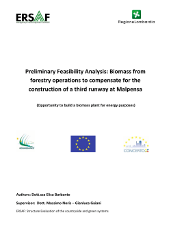 Terza pista di Malpensa &ndash; opportunit&agrave; di realizzazione di un