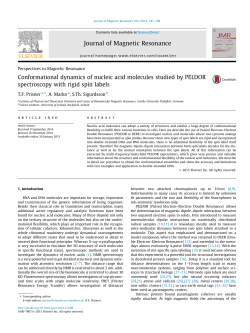 Conformational dynamics of nucleic acid molecules studied by
