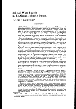Soil and Water Bacteria in the Alaskan Subarctic Tundra