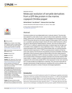 Molecular evolution of versatile derivatives from a GFP-like