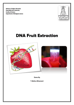 DNA Fruit Extraction