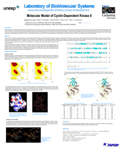 Molecular Model of Cyclin-Dependent Kinase 8