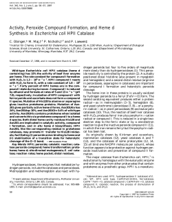 Activity, Peroxide Compound Formation, and Heme