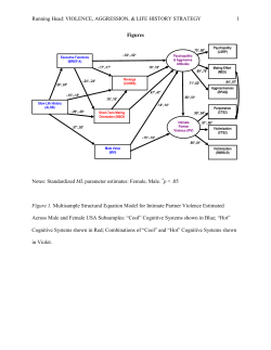 Intimate Partner Violence and Life History Strategy
