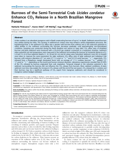 Burrows of the Semi-Terrestrial Crab Ucides cordatus Enhance CO2