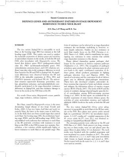 defence genes and antioxidant enzymes in stage