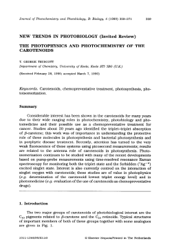 (Invited Review) THE PHOTOPHYSICS AND PHOTOCHEMISTRY
