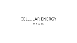 CELLULAR ENERGY
