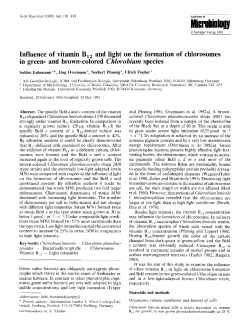 Influence of vitamin B12 and light on the