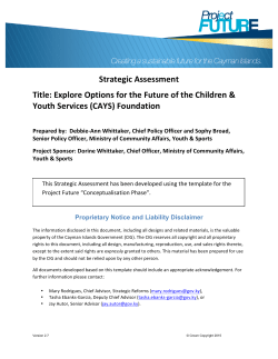 Strategic Assessment Title: Explore Options for the Future of the