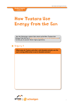 How Tuatara use Energy from the Sun L1-2