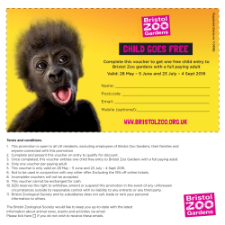 BZG Kids Go Free_Voucher