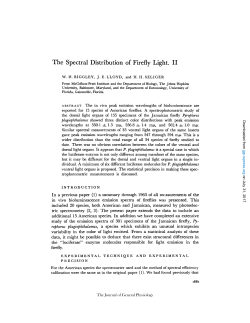 The Spectral Distribution of Firefly Light. II