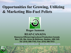 1 Opportunities - REAP