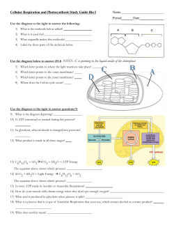 Energy is required for a variety of life processes including