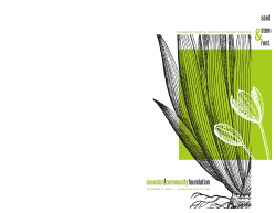 communityfoundation seed stem root.