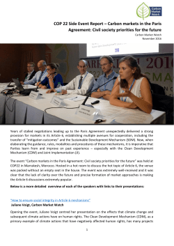 Event Report PDF - Carbon Market Watch