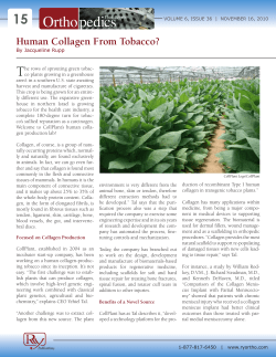 Human Collagen From Tobacco?