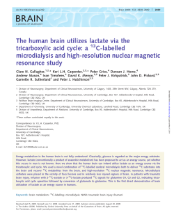 The human brain utilizes lactate via the tricarboxylic acid cycle: a C