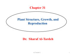 Chapter 31 Plant Structure, Growth, and Reproduction Dr