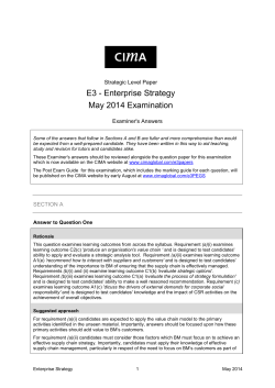 E3 - Enterprise Strategy May 2014 Examination