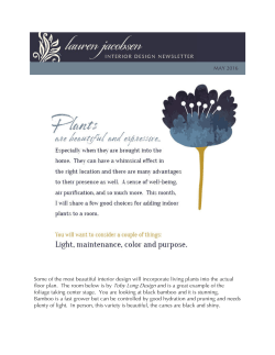 Some of the most beautiful interior design will incorporate living