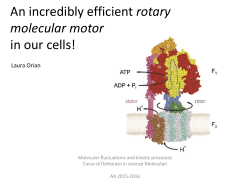 An incredibly efficient rotary molecular motor in our cells
