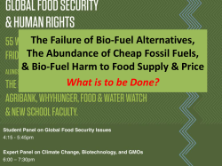 Failure of Bio-Fuel Alternatives Abundance of Cheap Fossil Fuels
