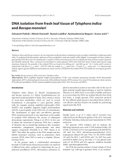 DNA isolation from fresh leaf tissue of Tylophora indica and Bacopa