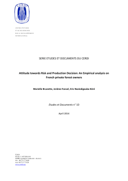 SERIE ETUDES ET DOCUMENTS DU CERDI Attitude towards Risk
