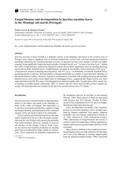 Fungal biomass and decomposition in Spartina maritima leaves in