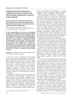 Isolation and characterization of endophytic bacteria associated with