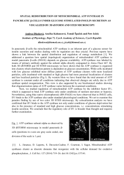 SPATIAL REDISTRIBUTION OF MITOCHONDRIAL ATP SYNTHASE