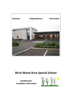 Birch Wood Area Special School Headteacher Candidate