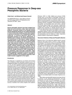 Pressure Response in Deep-sea Piezophilic Bacteria