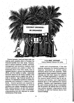 Coconut growers, small and large scale, are making every, possible