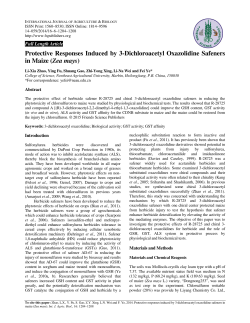 Protective Responses Induced by 3-Dichloroacetyl