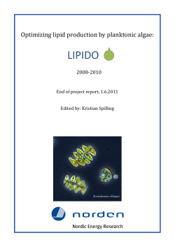 Optimizing lipid production by planktonic algae