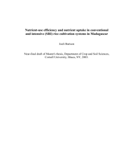 Nutrient-use efficiency and nutrient uptake in conventional and